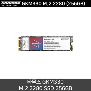 타무즈 GKM330 M.2 2280 (256GB) SSD